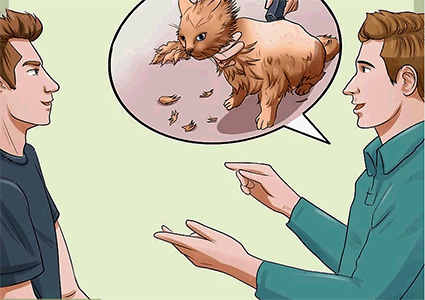 как стричь кошку